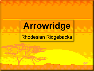Arrowridge Logo