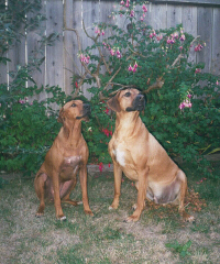 Akina & Ozzie - It's your turn, you get it!